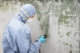 Youngstown, OH Mold Removal Services Company